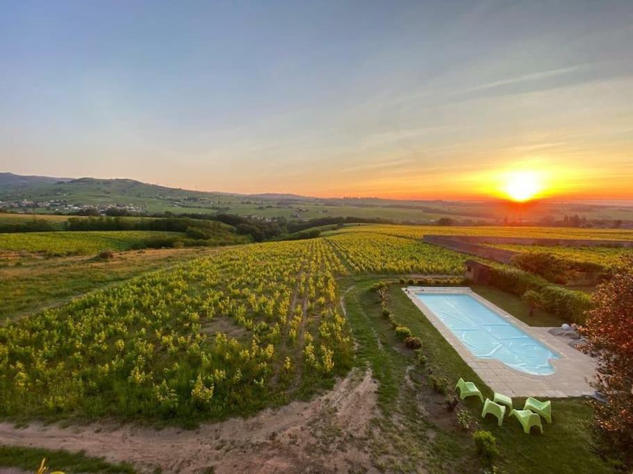 Au Coeur Des Vignes Chenas Du Beaujolais Apartamento La Chapelle-de-Guinchay Exterior foto