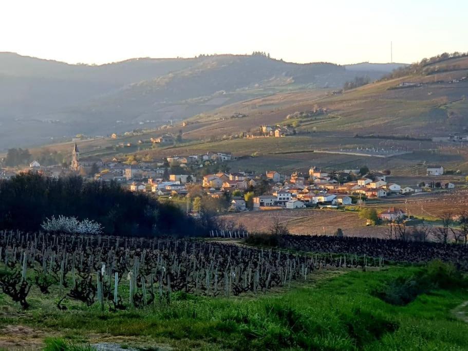 Au Coeur Des Vignes Chenas Du Beaujolais Apartamento La Chapelle-de-Guinchay Exterior foto